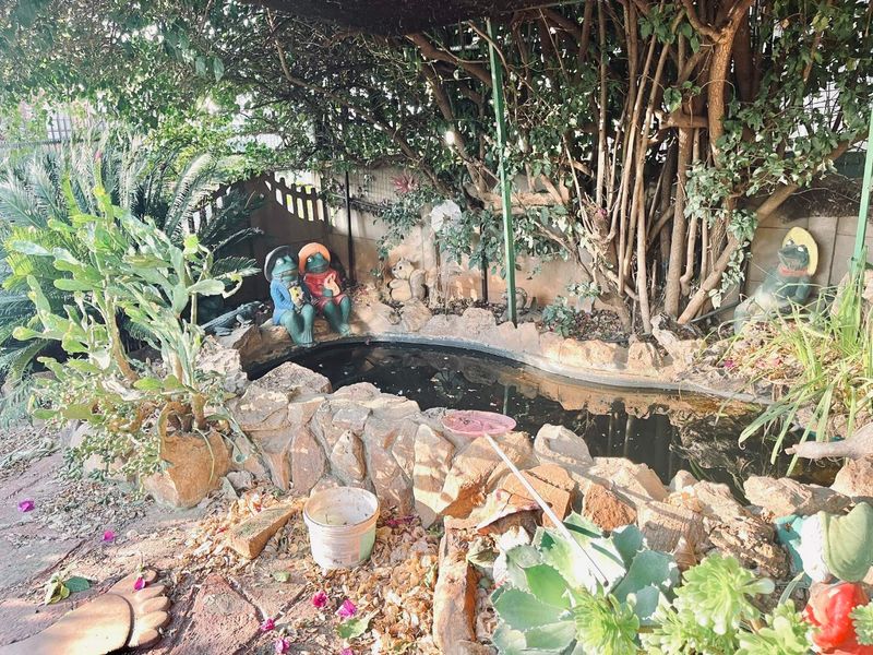 A garden area featuring a stone-clad pond surrounded by mature trees and established landscaping.