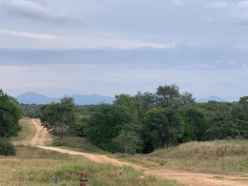 **Commercial Property on the Banks of the Olifants River for sale** - Photo 9