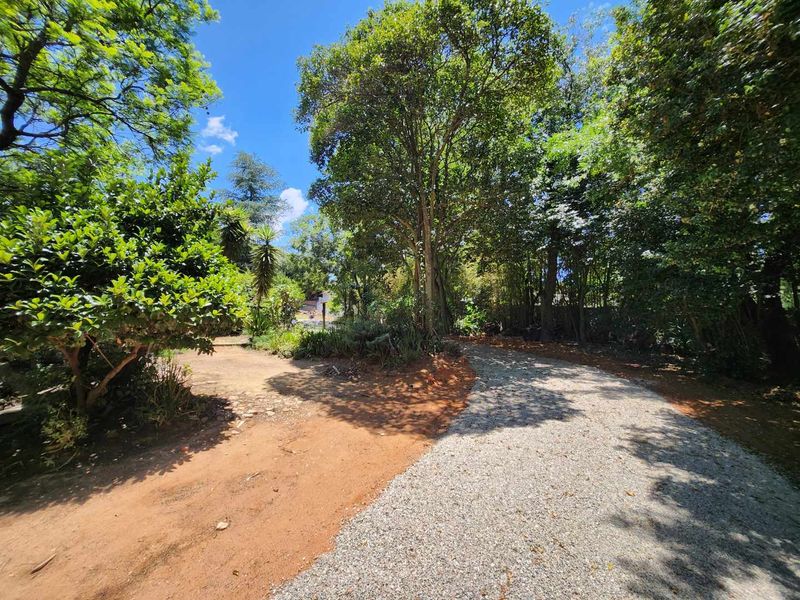 A spacious, mature garden area featuring a gravel driveway and established trees, providing a natural and private outdoor setting.