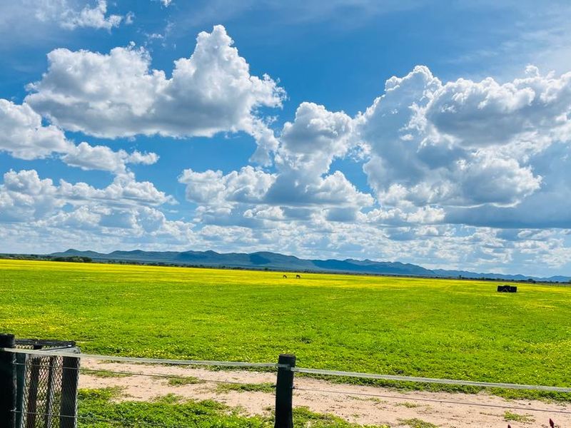 Agricultural Farm for Sale - Grootfontein Region - Photo 7