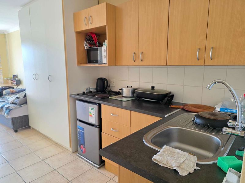 Lovely North facing Bachelor Apartment open plan living area with kitchenette - Photo 10