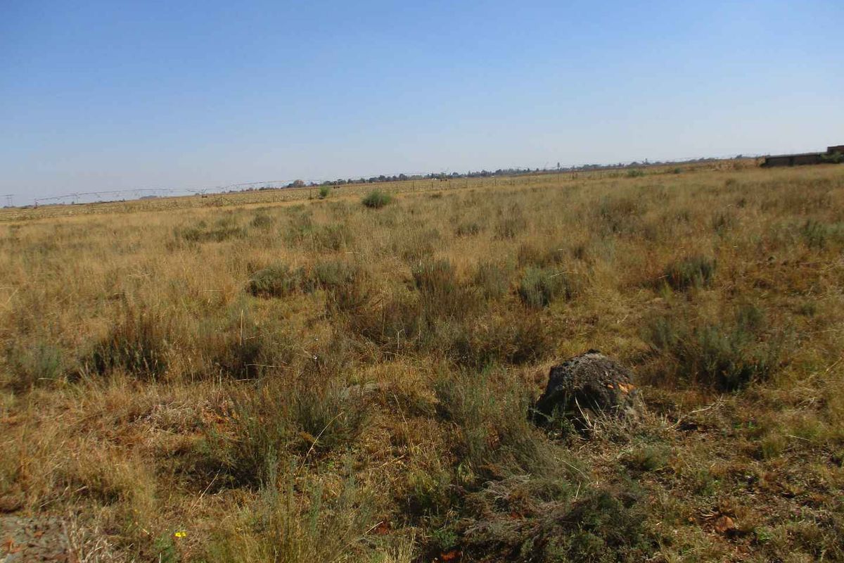 VACANT STAND IN HENLEY - Photo 3