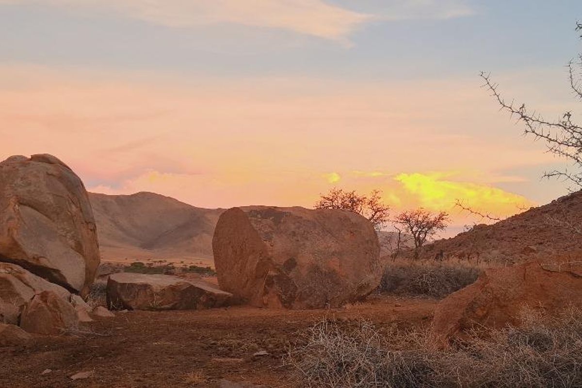 Farm, Wildlife & Serenity close to Helmeringhausen - Photo 2
