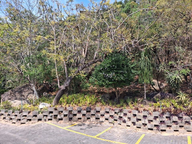 A landscaped garden area featuring a concrete block retaining wall and a paved parking space with yellow line markings.