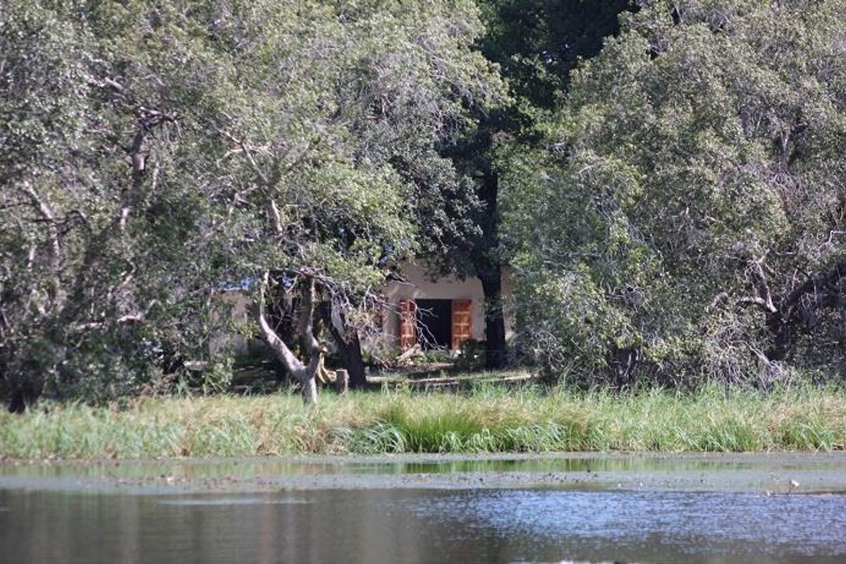 A secluded lodge building nestled within dense trees, viewed across a natural water body.