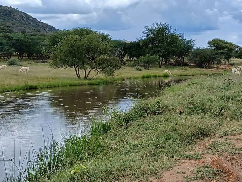 A scenic view of a natural stream flowing through open pasture land on the farm property.