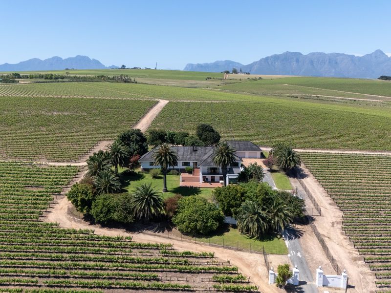 Aerial view of a farm property featuring a main residence surrounded by extensive vineyards, mature trees, and a private gated entrance.