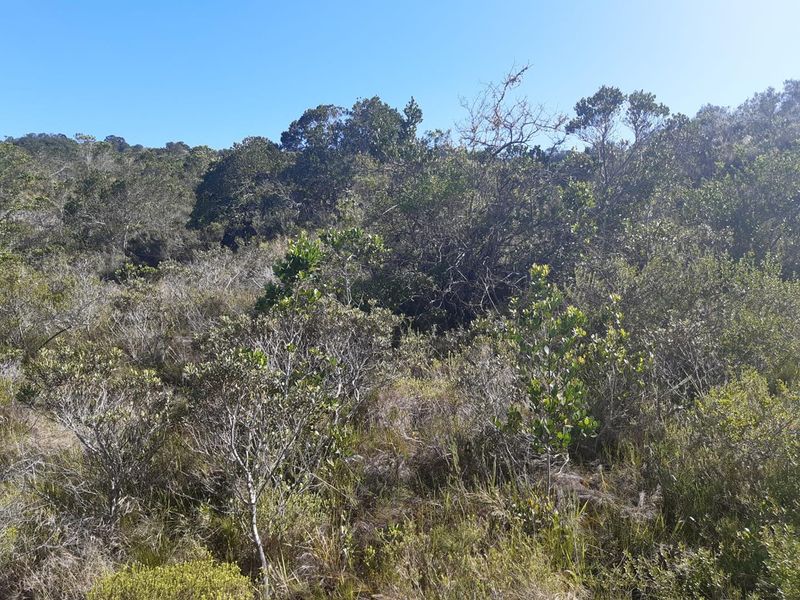 North - facing stand - Gamtoos Mouth Resort - Photo 2