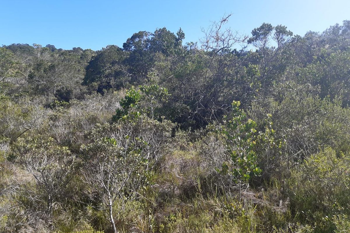 North - facing stand - Gamtoos Mouth Resort - Photo 2