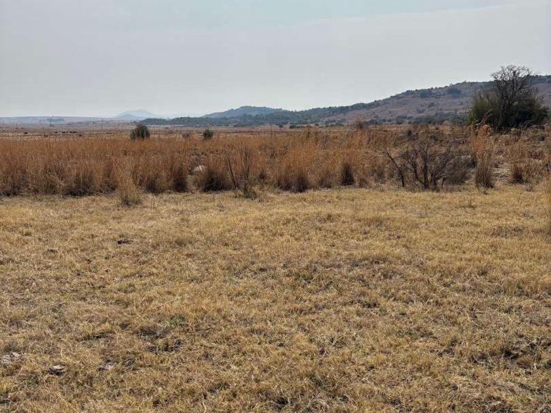 UNDEVELOPED FARM FOR SALE - Photo 6