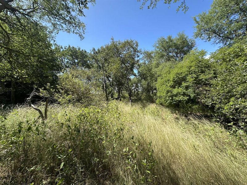 Secure a stunning stand in the bush in this pet friendly and exclusive reserve. - Photo 9