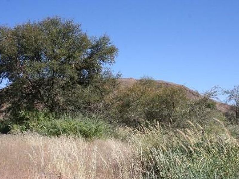 CATTLE / SHEEP / GAME FARMS FOR SALE KARAS REGION - Photo 7