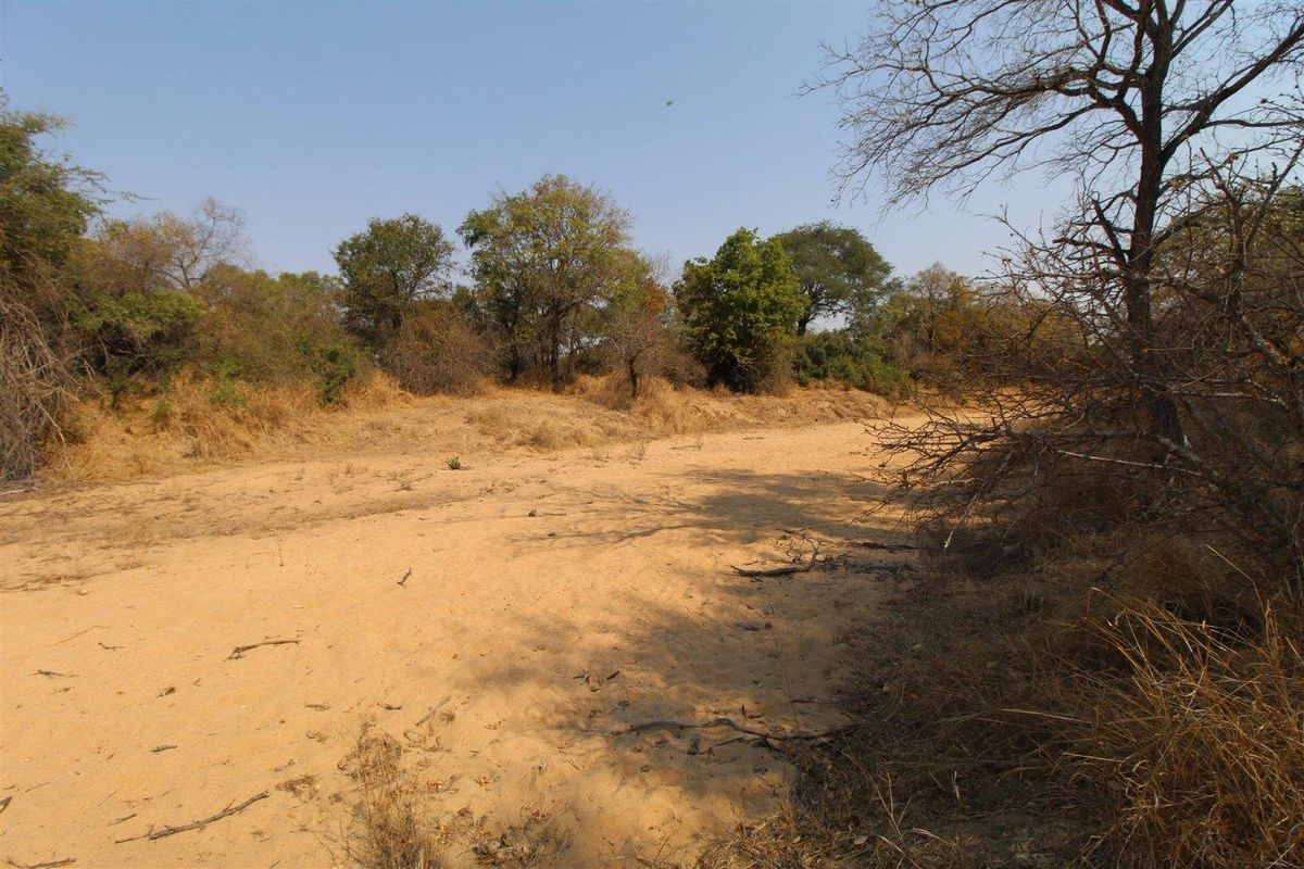 River front stand - Photo 4