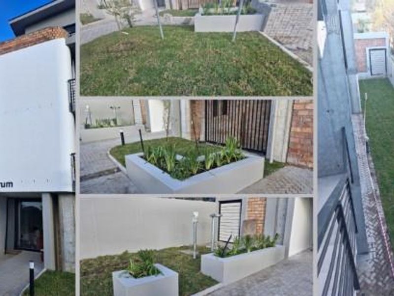 Boutique Living Meets Smart Investment - 1 Bed 1 Bath Apartment - Photo 6