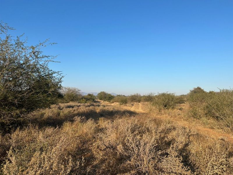 Exceptional Bushveld Stand with River Access - Photo 10