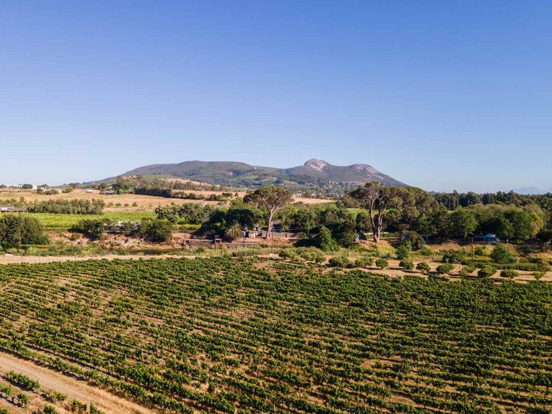 Build a 27 Hectare Legacy Estate on a Scenic Winelands Landscape at Val de Vie Estate - Photo 3