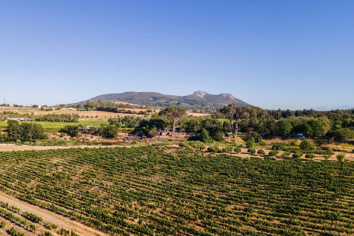 Build a 27 Hectare Legacy Estate on a Scenic Winelands Landscape at Val de Vie Estate - Photo 3