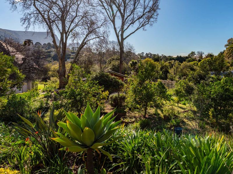 Where Grace Meets Grandeur in Constantia Upper - Photo 5