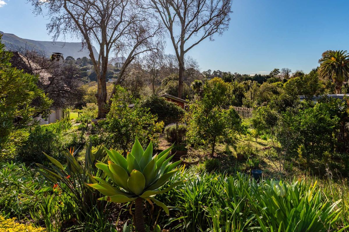 Where Grace Meets Grandeur in Constantia Upper - Photo 5