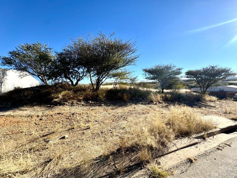 Large ERF Zoned For Institutions For Sale! - Photo 4