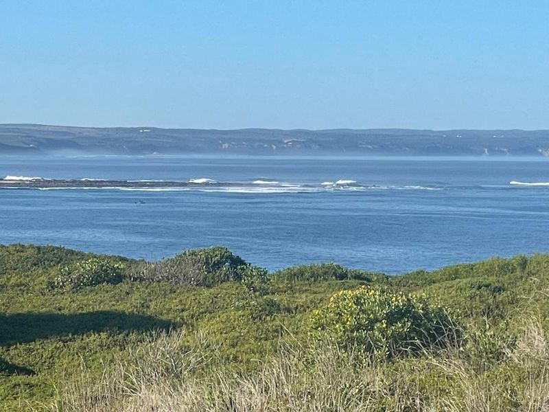 Bosbokduin Oasis - Photo 7