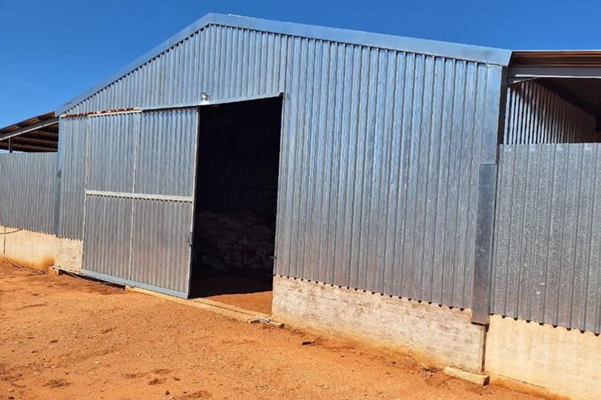 Cattle & Game Farm in the Hochfeld area. - Photo 4