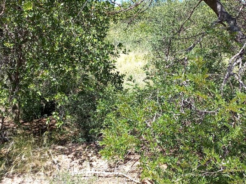 Plot for sale - Gobabis district - Photo 5
