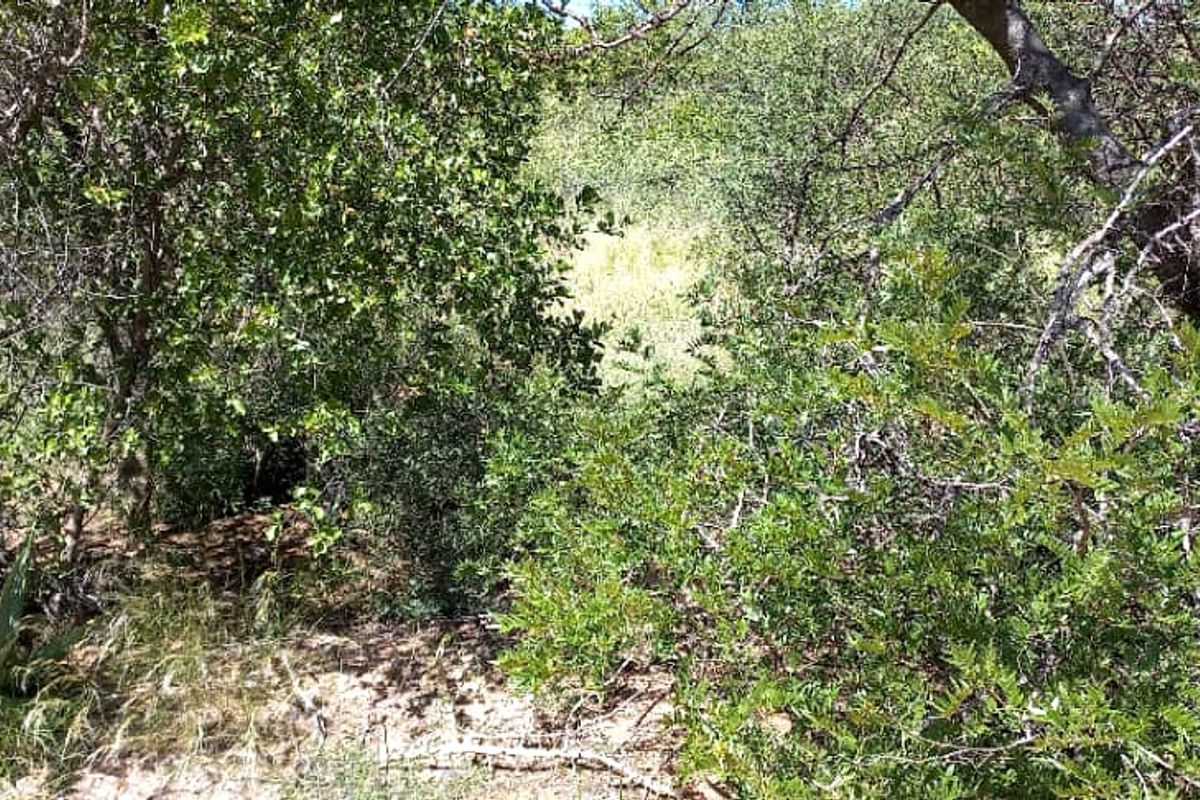Plot for sale - Gobabis district - Photo 5