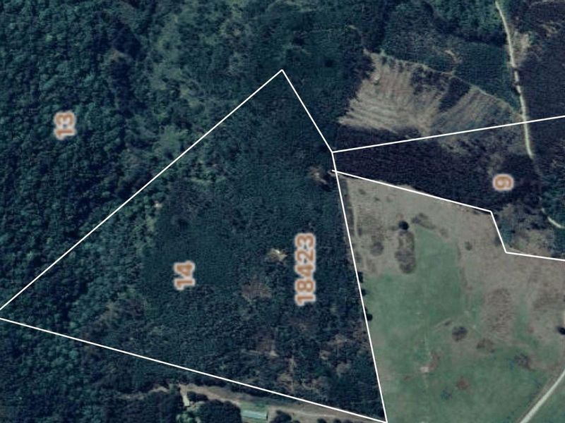 33-Hectare Vacant Land with Forest and Panoramic Views in the Midlands, Howick Rural - Photo 4