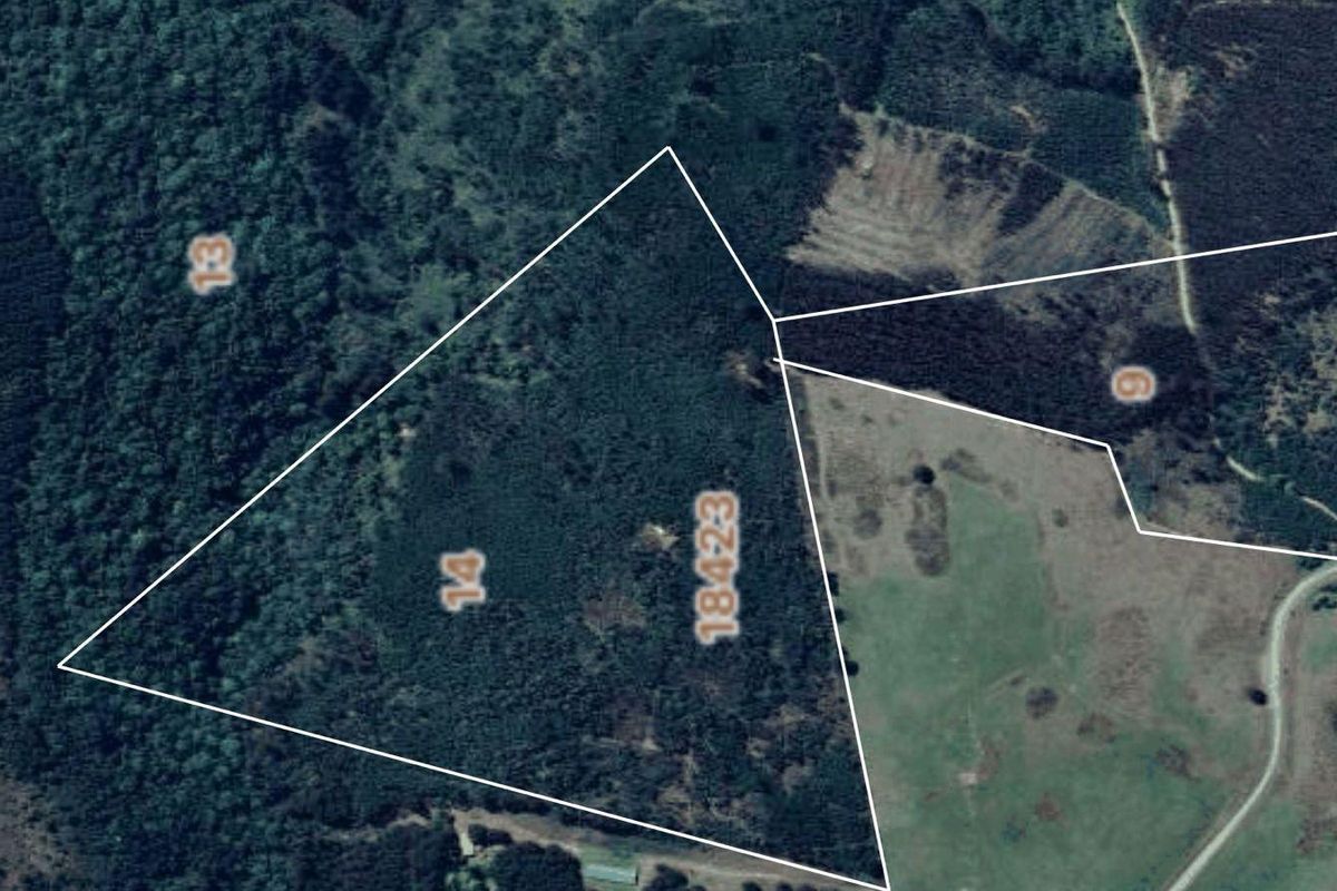 33-Hectare Vacant Land with Forest and Panoramic Views in the Midlands, Howick Rural - Photo 4