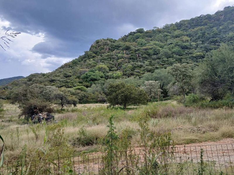 A scenic view of the natural landscape featuring a hillside covered in dense vegetation and a wire mesh fence in the foreground.