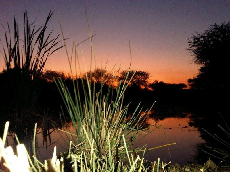 STUNNING 340-HECTARE GAME AND CATTLE FARM FOR SALE – JUST 8 KM FROM NABOOMSPRUIT - Photo 3