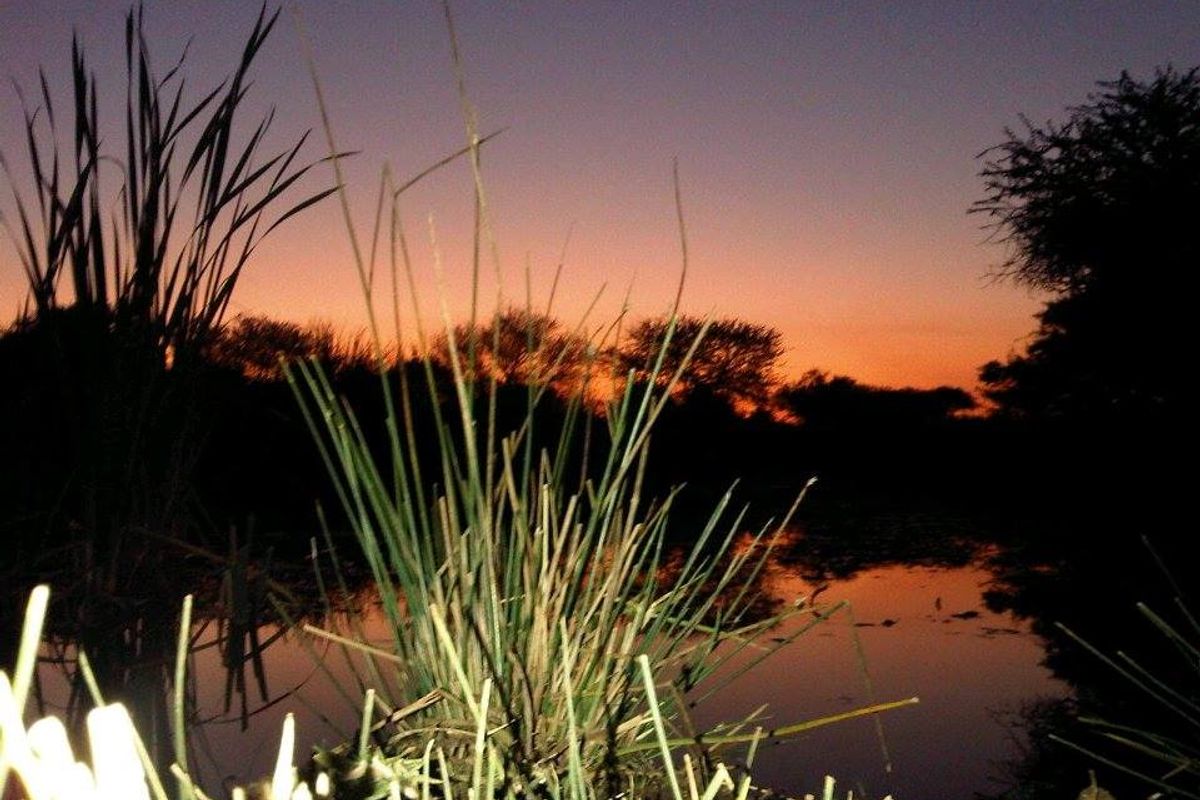 STUNNING 340-HECTARE GAME AND CATTLE FARM FOR SALE – JUST 8 KM FROM NABOOMSPRUIT - Photo 3