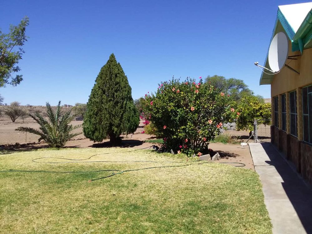 The main house garden