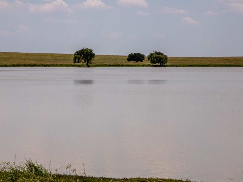 1,229.6705-Hectare Wildlife Farm for Sale as a Going Concern – Including All Game-with accommodation, restaurant, bar, arable land, and grazing land - Photo 6