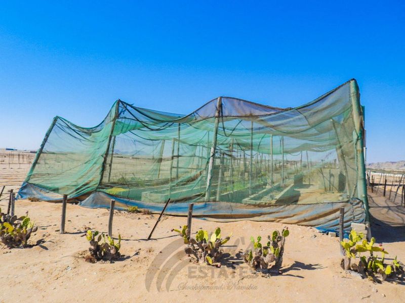 Small holding with 5 bedroom house at Swakopmund River Plots - Photo 9