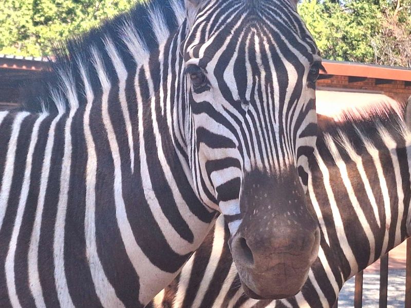 500m2 Stand in Prime Location - Photo 7