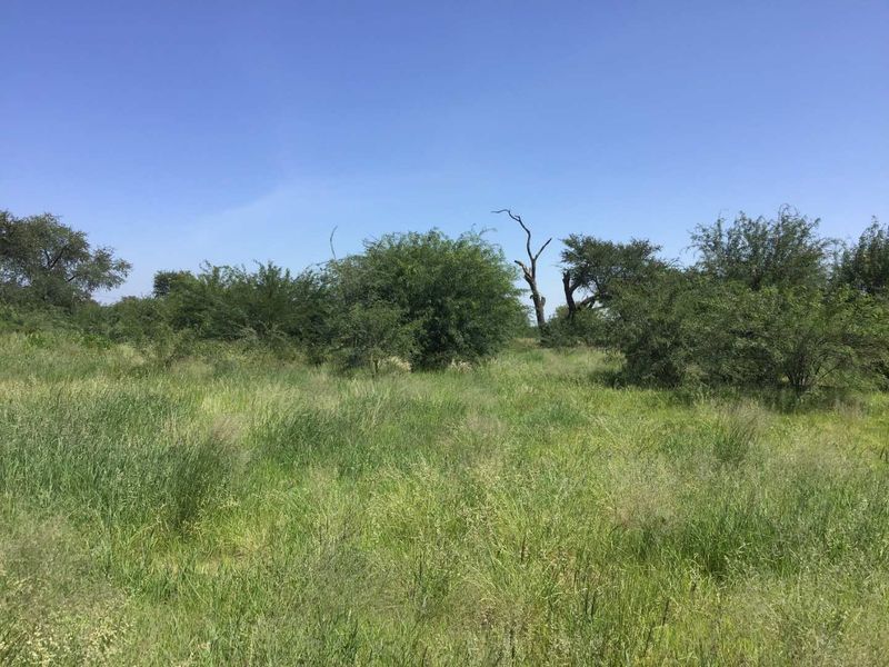 Industrial Stand For Sale  - Shali Industrial Park - Photo 2