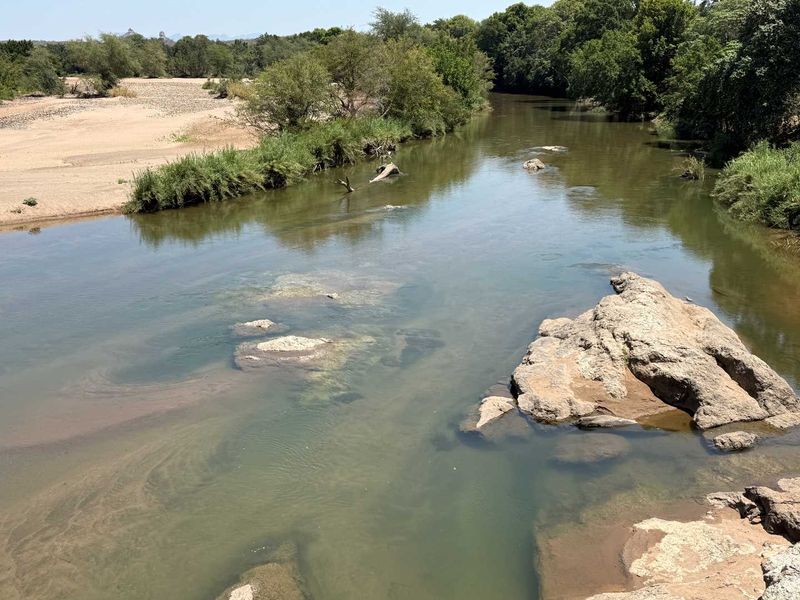 Beautiful stand in Elephant Eco Estate - Photo 9