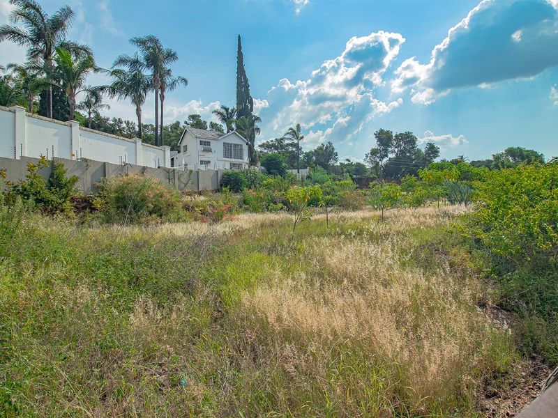 Large stand in Waterkloof Ridge for development - Photo 5