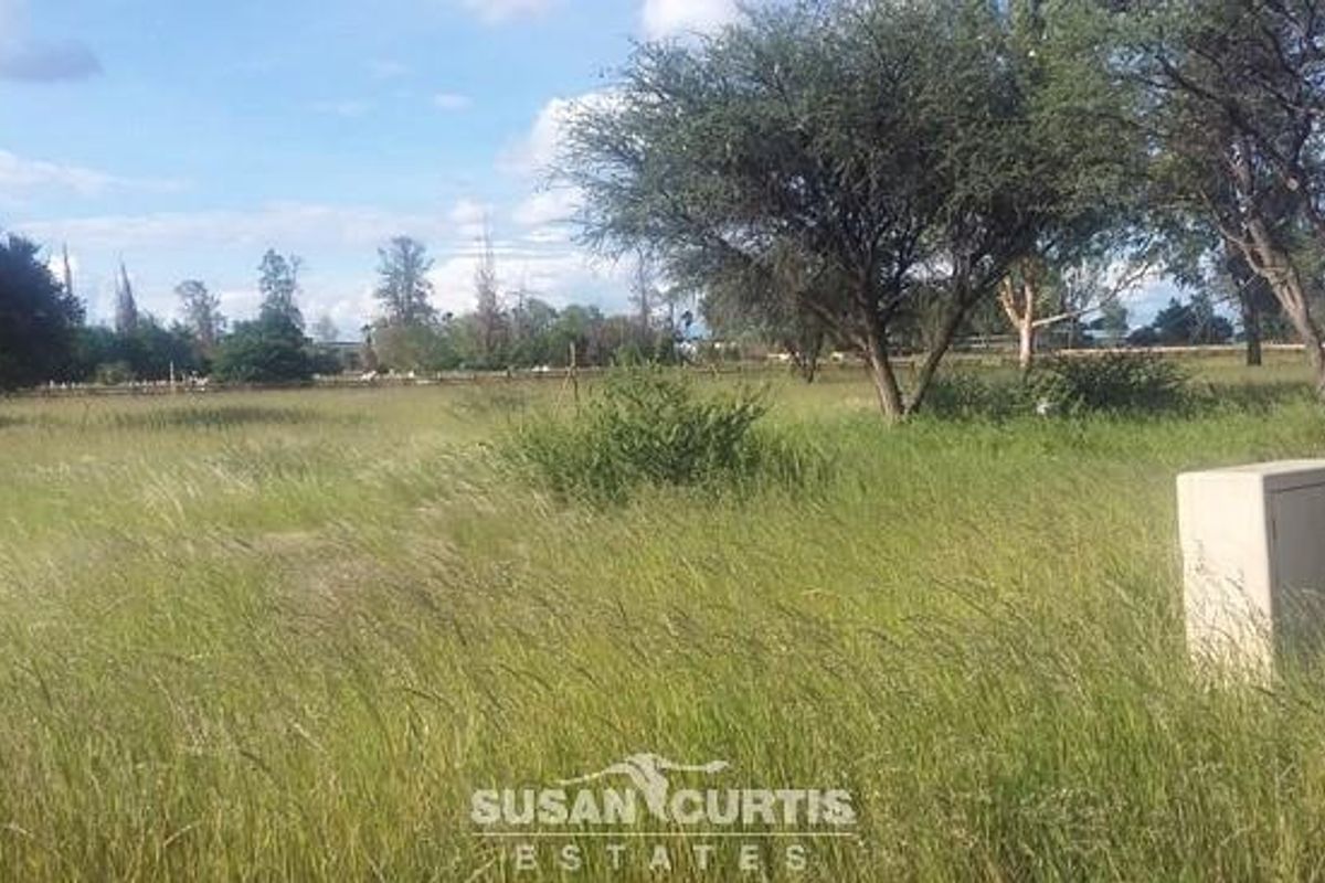 Business Erf in Gobabis. - Photo 2