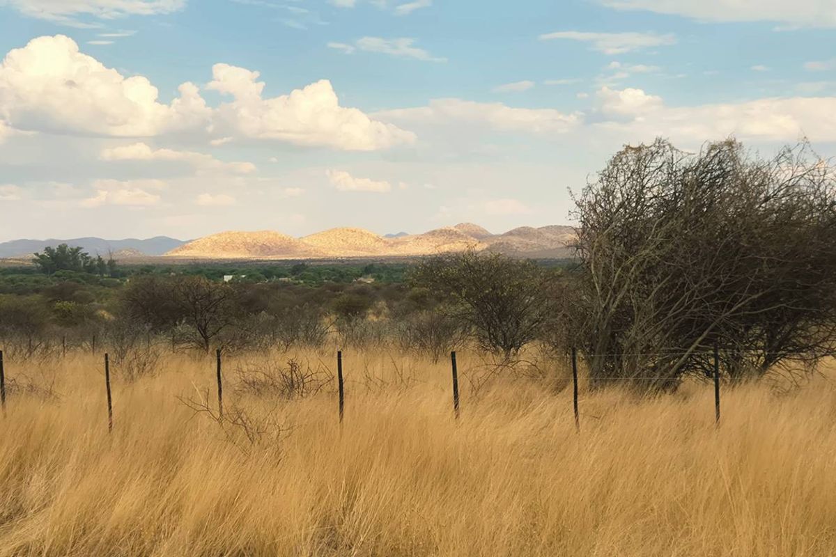 Guarantee views and privacy! 5HA plot for sale! 12 km South West from Okahandja on the Gross Barmen Road! - Photo 5