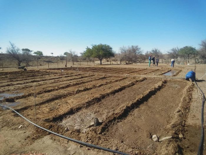 Property #2393116, Farm For Sale in Rehoboth Central