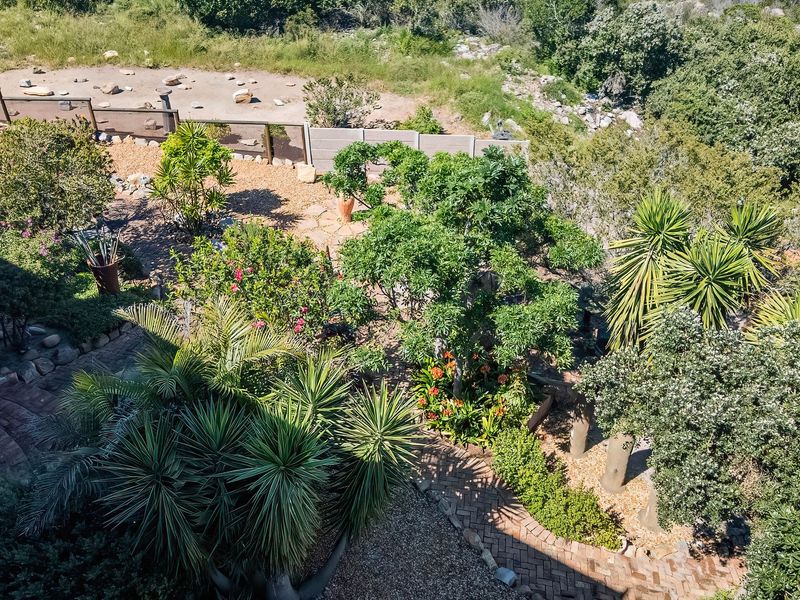An elevated view of a well-established garden featuring mature trees, landscaped beds, and a brick-paved pathway leading through the outdoor space.