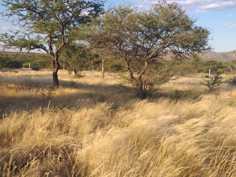 FOR SALE 📍OKAHANDJA - Photo 5