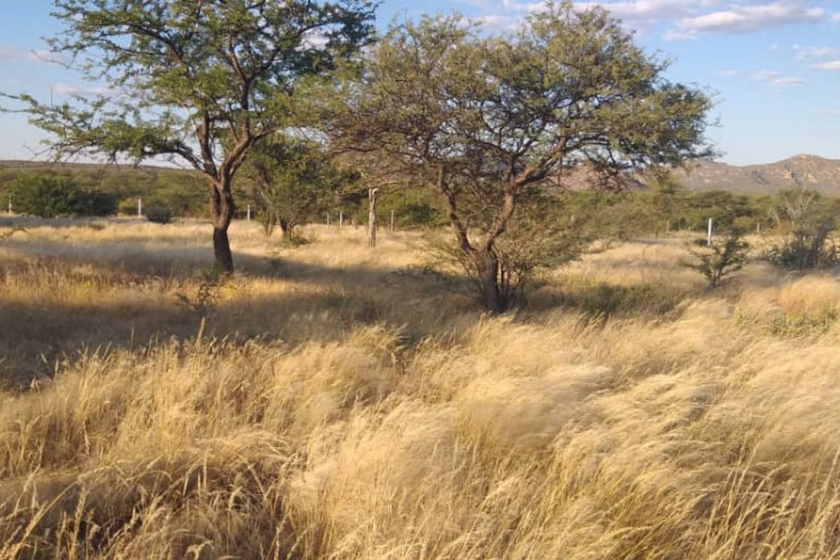 FOR SALE 📍OKAHANDJA - Photo 5