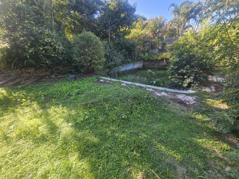 A large, overgrown garden area featuring a stone-edged retaining wall, offering significant potential for landscaping and outdoor space development.