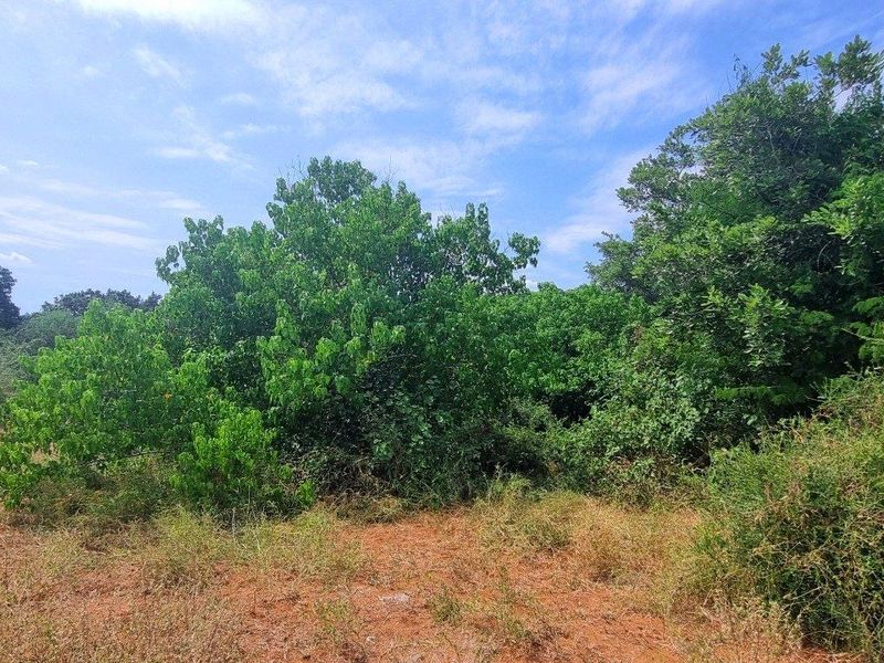 Vacant Stand in Elephant Rock Eco Estate - Photo 5