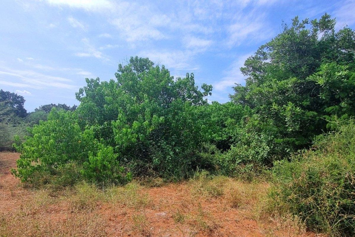 Vacant Stand in Elephant Rock Eco Estate - Photo 5