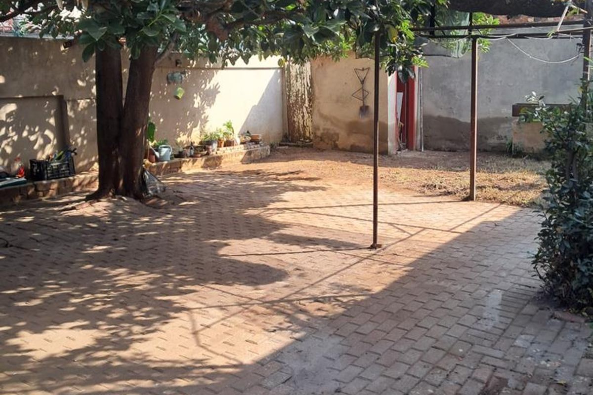 A paved rear courtyard area featuring a large mature tree, boundary walls, and a metal pergola structure.